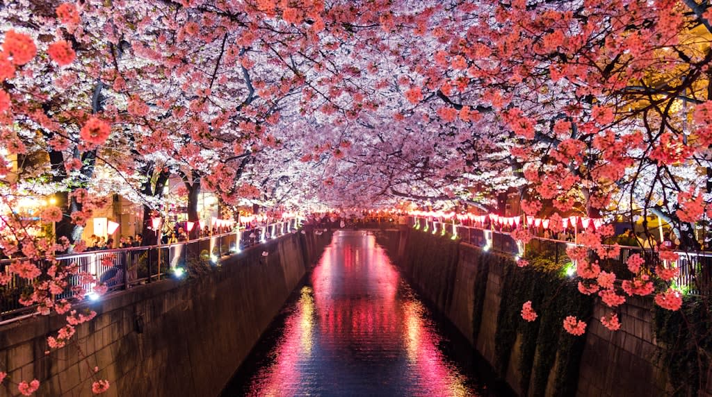 読経中の寺院内部