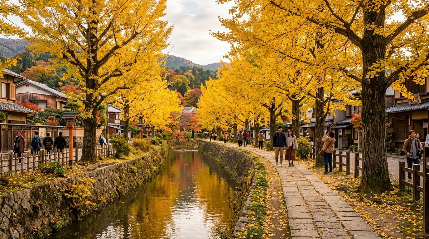 秋分の京都、銀杏が黄金色に染まる哲学の道
